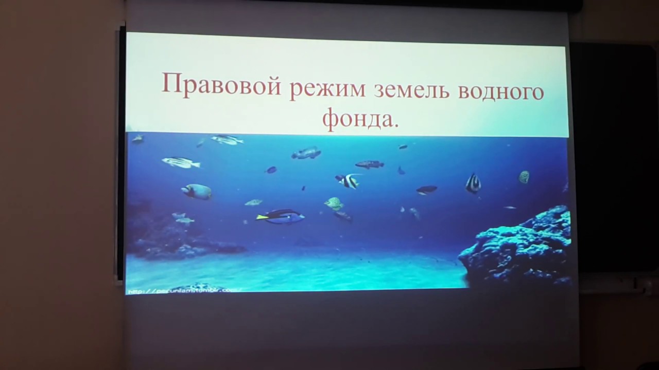 Земли водного фонда - суть и значение